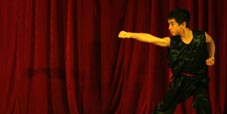 Nan Quan Kung Fu